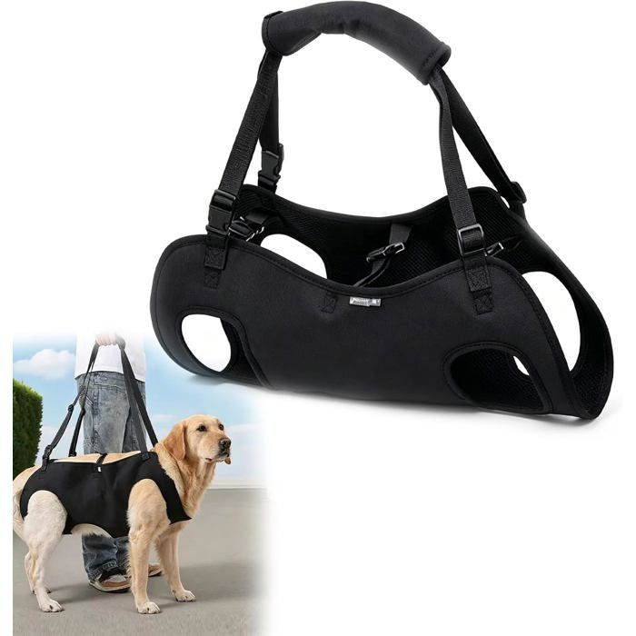 Harnais De Levage Pour Chien : Capacité De Charge De 28 À 38 Kg Xl Avec Bretelles Amovibles Et Cordon De Serrage Réglable Pour Harnais De Levage Pour Chien : Capacité De Charge De 28 À 38 Kg Xl Avec Bretelles Amovibles Et Cordon De Serrage Réglable Pour