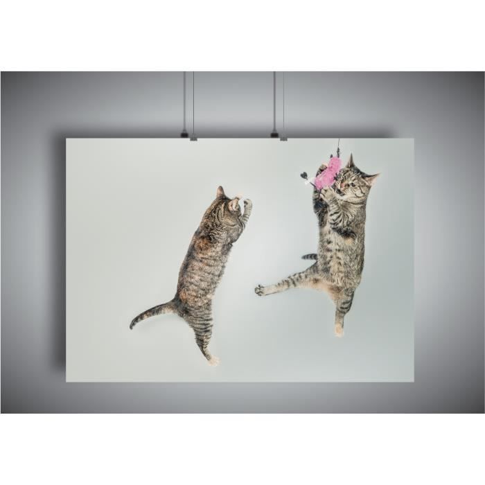 Poster Chat Qui Joue Sautea4 21x29 7cm Cdiscount