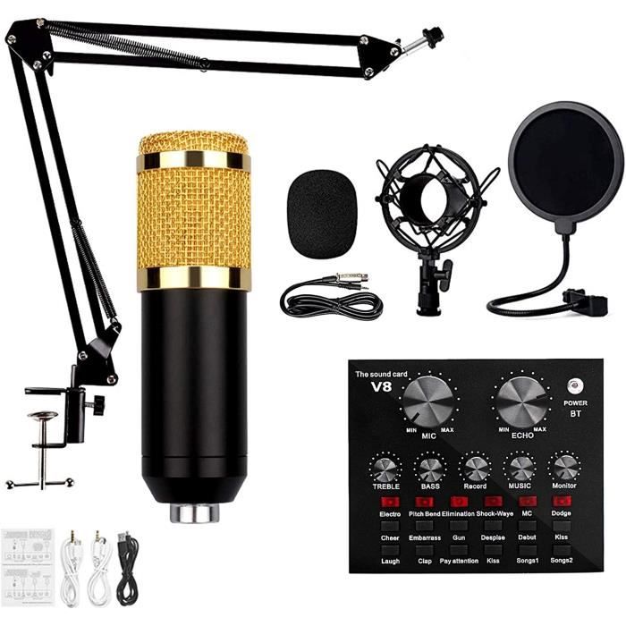 Microphone Professionnel Dans Le Studio D'enregistrement.