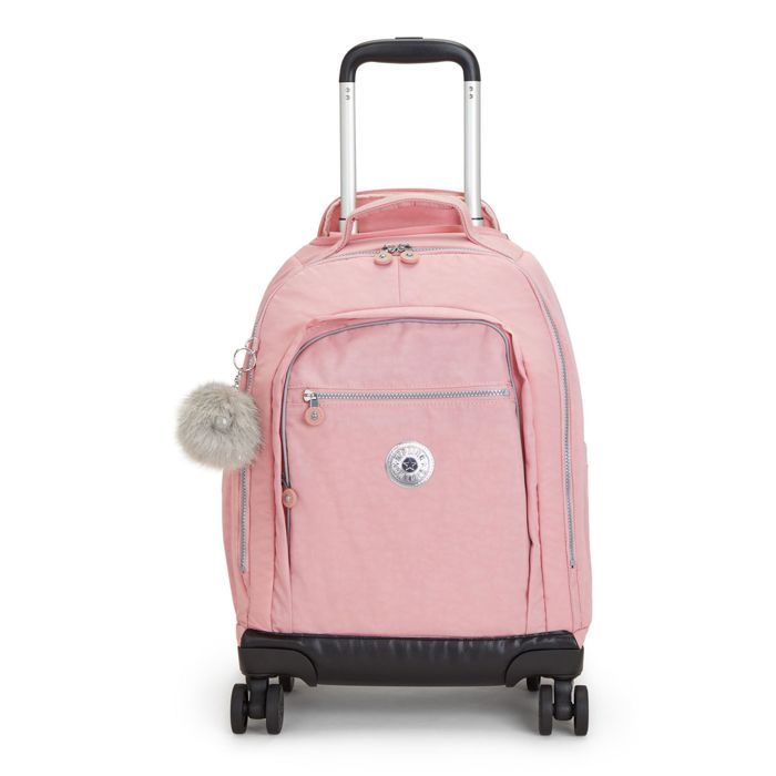 Étui De Voyage Rigide Antler – Rose Zèbre – Pour Fille – Léger Et étanche