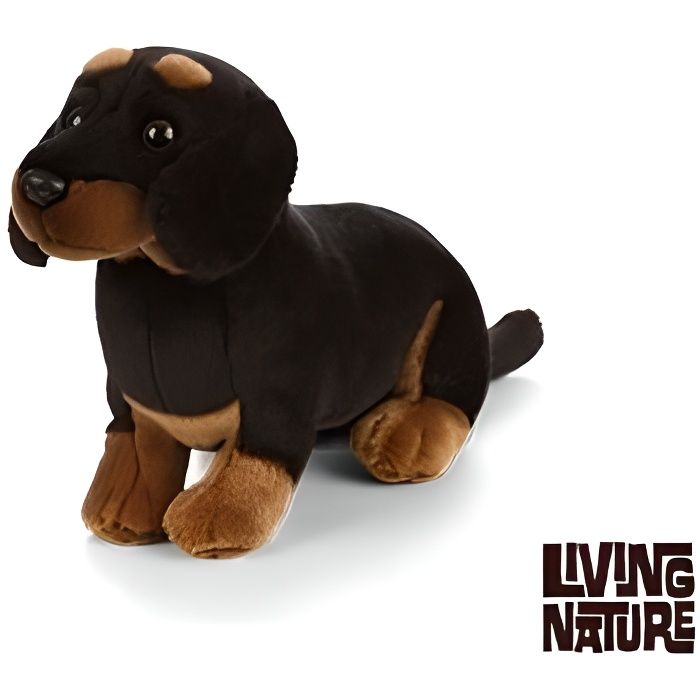 Peluche cheap chien teckel