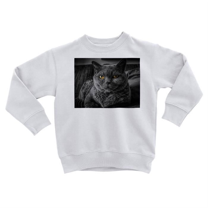 Sweatshirt Enfant Chat De Race Gris Chartreux Yeux Jaunes Mignon Blanc Cdiscount Pret A Porter Sweatshirt Enfant Chat De Race Gris Chartreux Yeux Jaunes Mignon Blanc Cdiscount Pret A Porter