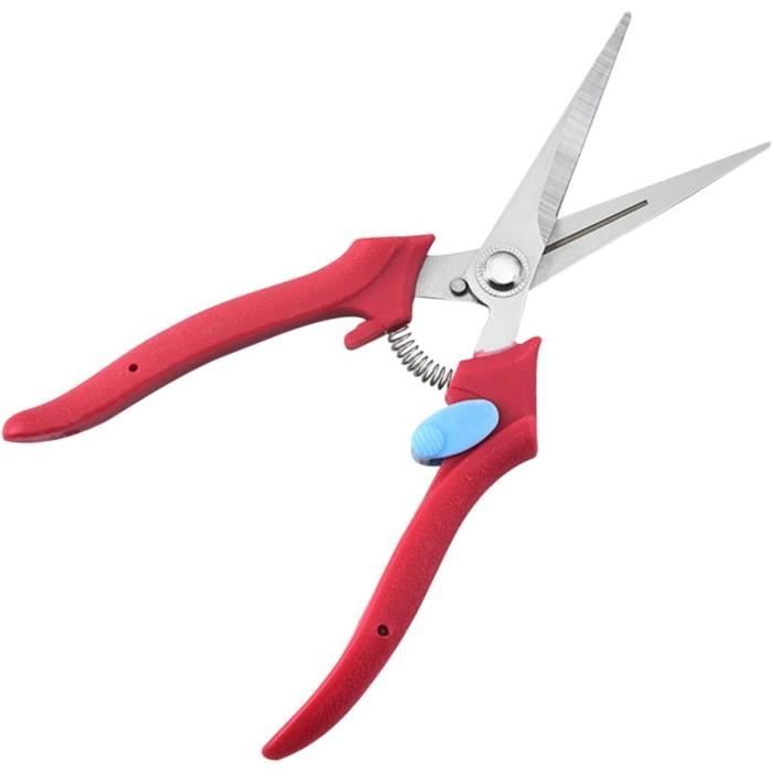 Cisaille à Gazon, Sécateur à Lame Droite - Longueur Totale 20 Cm, Lame 6 Cm - Acier Inoxydable - Pour Jardin, Bonsaï, Arbres Fruitiers - 4