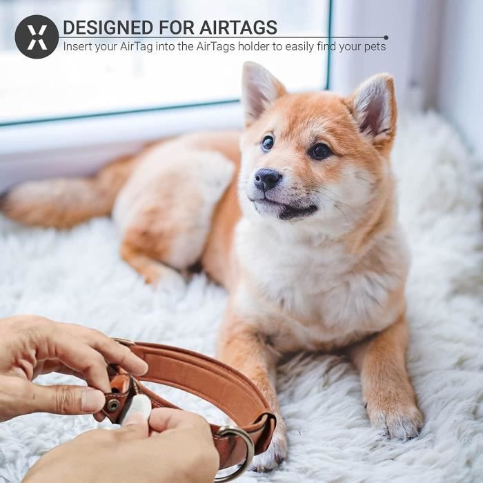 Collier pour chien avec support Apple Airtag intégré