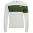 sweat le coq sportif verte
