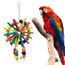 Oiseaux Colorés Oiseaux Oiseau Perroquet En Bois Cage Suspendue Jouets Pour Perruches Perroquets Aras