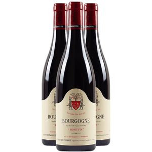 VIN ROUGE Domaine Geantet-Pansiot Bourgogne Pinot Noir 2022 