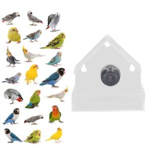 Duokon Caméra Mangeoires À Oiseaux Caméra Intelligente pour Mangeoire à Oiseaux  avec Panneau Solaire, Vidéo HD animalerie produits - Cdiscount