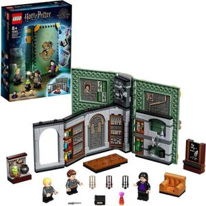 ASSEMBLAGE CONSTRUCTION LEGO 76383 Harry Potter Poudlard  Le Cours de Poti