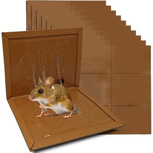 Colle à rat RATICOL 135 g pour 6,000 DT