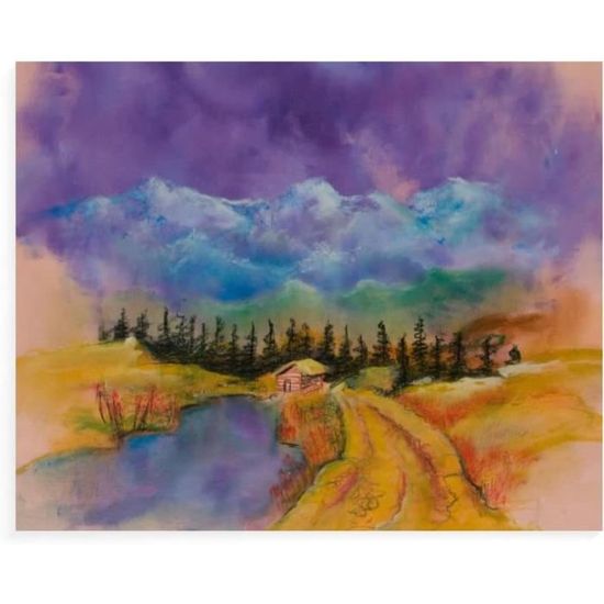 NAIMOER 4 Pièces Cadre Peinture Par Numero Animaux Colorés Adulte