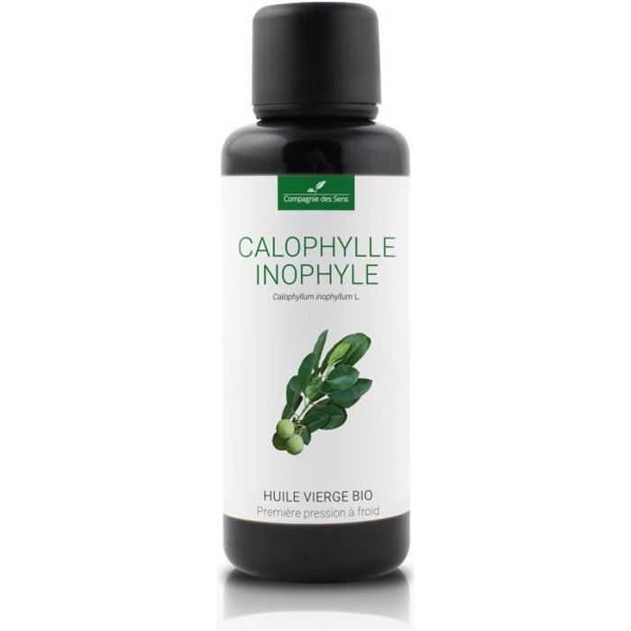 CALOPHYLLE INOPHYLE - Huile végétale BIO - 50mL