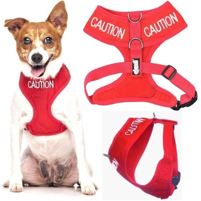 PRUDENCE Rouge codé couleur Nylon rembourré étanche petite veste harnais pour chien (ne vous approchez pas) d'éviter les accident