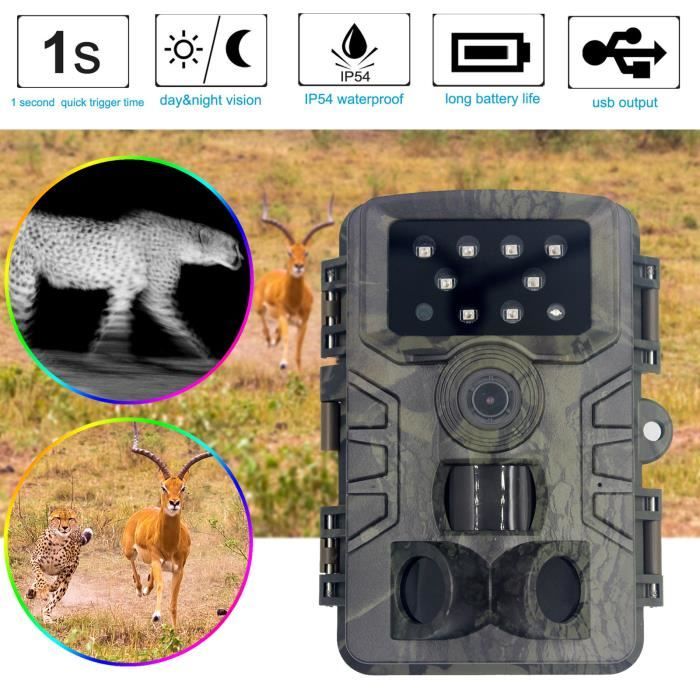 Détecteur de chasse HD Surveillance caméra étanche à induction infrarouge rouge extérieur webcam100