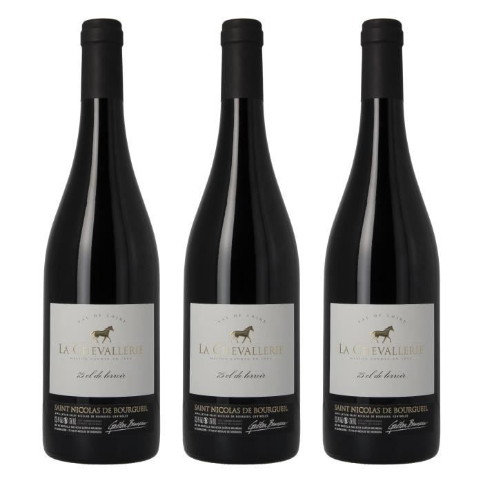 Saint Nicolas de Bourgueil - 75 cl de terroir - Vin rouge AOP du Val de Loire - 100% cabernet franc - Lot de 3 bouteilles