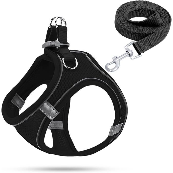Harnais Chiot Garnais Chien Lumineux Harnais Anti Traction pour Petit Chien(Noir M)