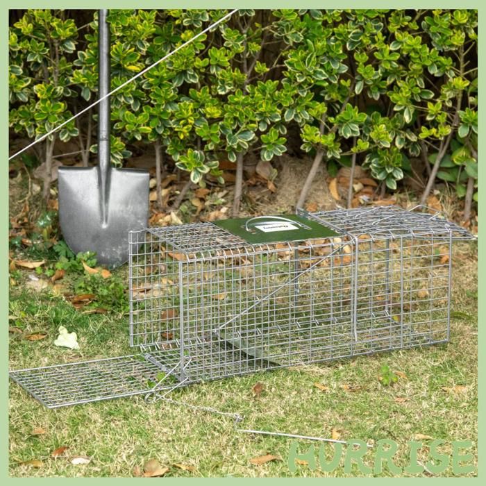 Cocosity Piège Cage De Capture Pliante Pour Petits Animaux Type Rat Et Souris - 2 Portes Poignée 66 X 24 X 30 5 Cm Acier Gris