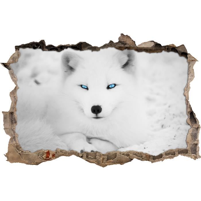 Couche Renard Arctique Avec Des Yeux Brillants Noir Mur Blanc Percee En 3d Look Mur Ou Format Vignette De La Porte 62x42cm S Cdiscount Maison Couche Renard Arctique Avec Des Yeux Brillants Noir Mur Blanc Percee En 3d Look Mur Ou Format Vignette De La Porte 62x42cm S Cdiscount Maison