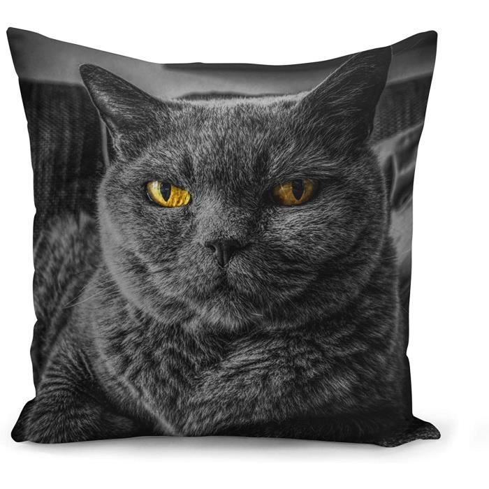 Housse De Coussin Chat De Race Gris Chartreux Yeux Jaunes Mignon 45x45cm 5456 Cdiscount Maison