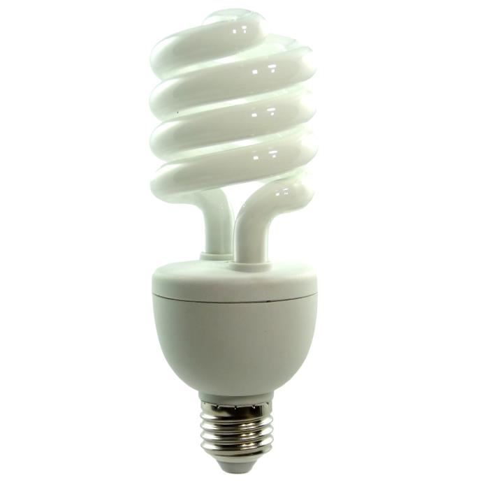 DynaSun SYD26 150W Ampoule Studio Photo Lumière du Jour Fluorescent