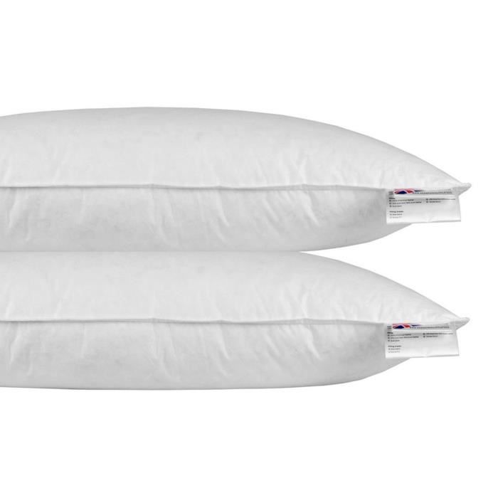 Pack 4 Pièces Alpes Blanc - 2 Oreillers Plume + 2 Protèges Oreillers 60x60cm - Fabriqué En France