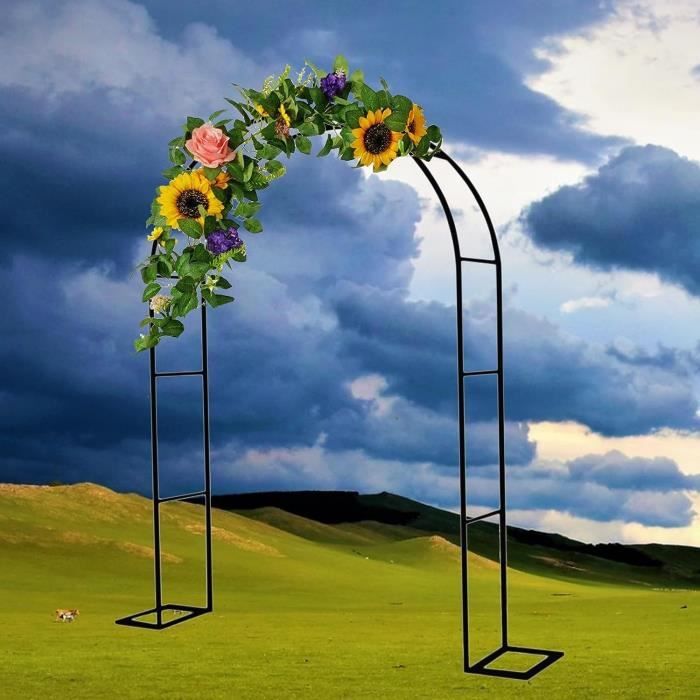Arche À Rosiers, Tonnelle De Jardin En Métal, Arche De Mariage, Plantes
