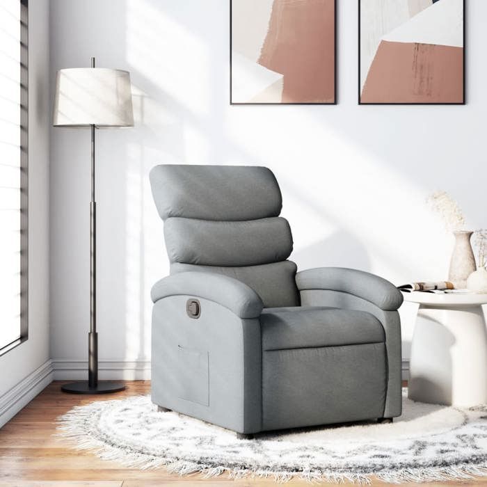 vidaXL Fauteuil Inclinable Chaise de Relaxation avec Dossier Siège avec Repose-pied Fauteuil TV de Salon Moderne Gris 371689