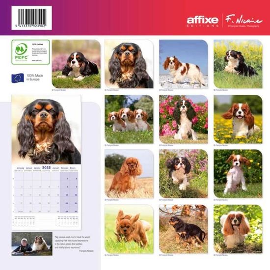 Calendrier Affixe 2023 Calendrier Cavalier King Charles 2022 - Affixe - Cdiscount Beaux-Arts Et  Loisirs Créatifs