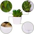4pcs Plantes Artificielles Succulentes en Mini Plastique avec Pot en Céramique Fausses Plantes Vertes Décoration Table-2