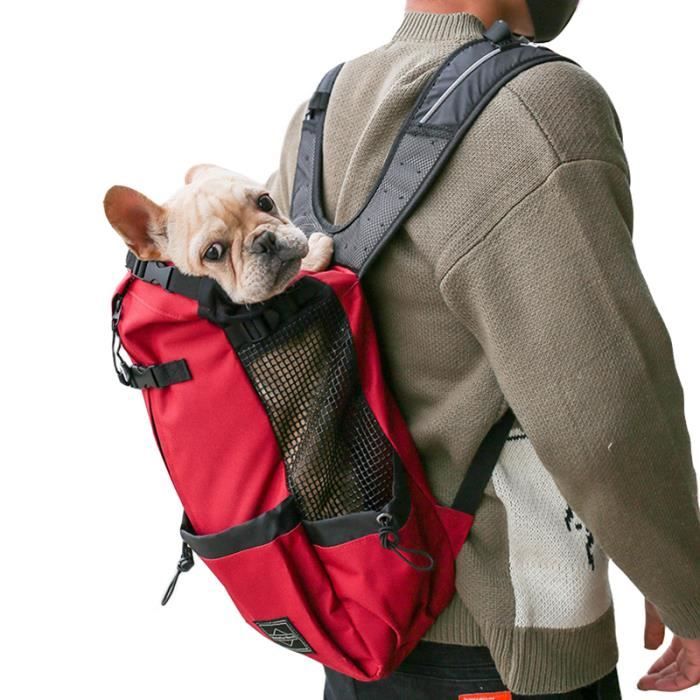 Sac à dos pour petit chien clearance