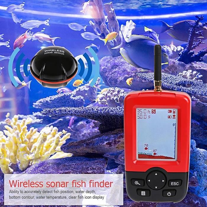 Acheter Détecteur de poisson intelligent BT avec application, détecteur de poisson Portable, détecteur de profondeur, détecteur de pêche de nuit pour Kayak