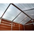 Abri de jardin - PALRAM - Skylight 1,5 m² - Aluminium et polycarbonate - Ambre-3