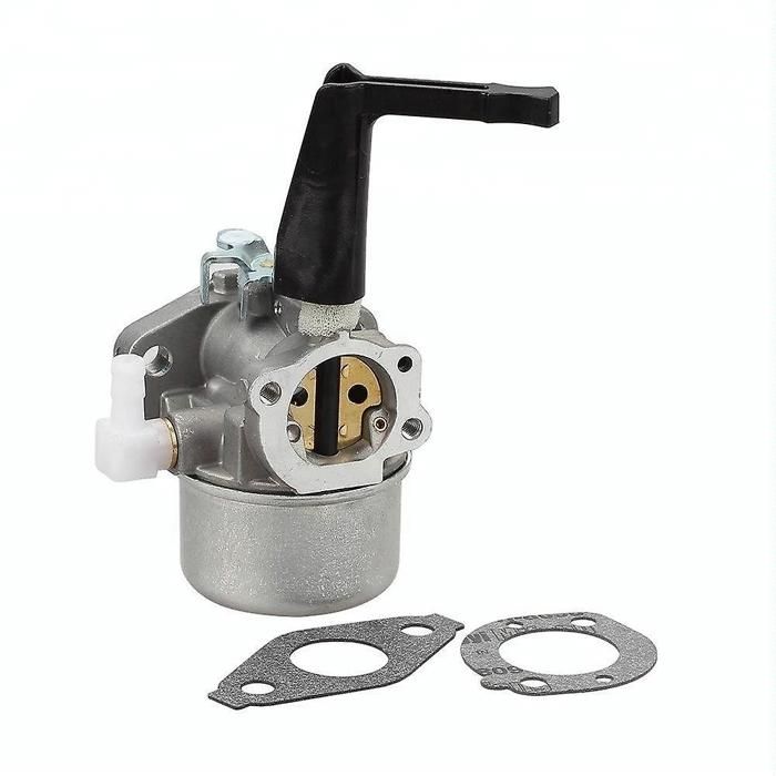 ZAMDOE Carburateur Compatible Briggs & Stratton 696065 697422 - Kit Complet Avec Filtre Et Bougie