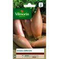 Oignon - VILMORIN - Echalion Zebrune - Rouge - Plante potagère - Comestible-0