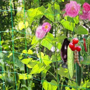 Plante De Jardin Filet climping Filet élastique pour concombres Jardin Citrouilles plantation 