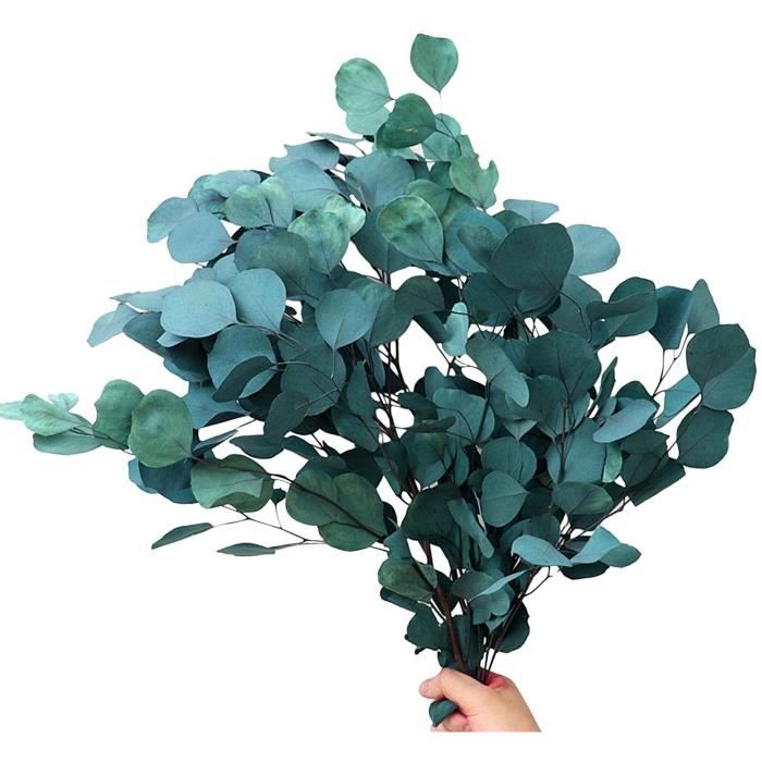 Fleur eternelle Bouquet de Feuilles d'eucalyptus Naturel, Fleur séchée éternelle pour la décoration d302