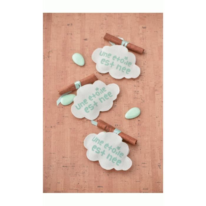 Sachet A Dragées Une étoile est née - Mint x 4