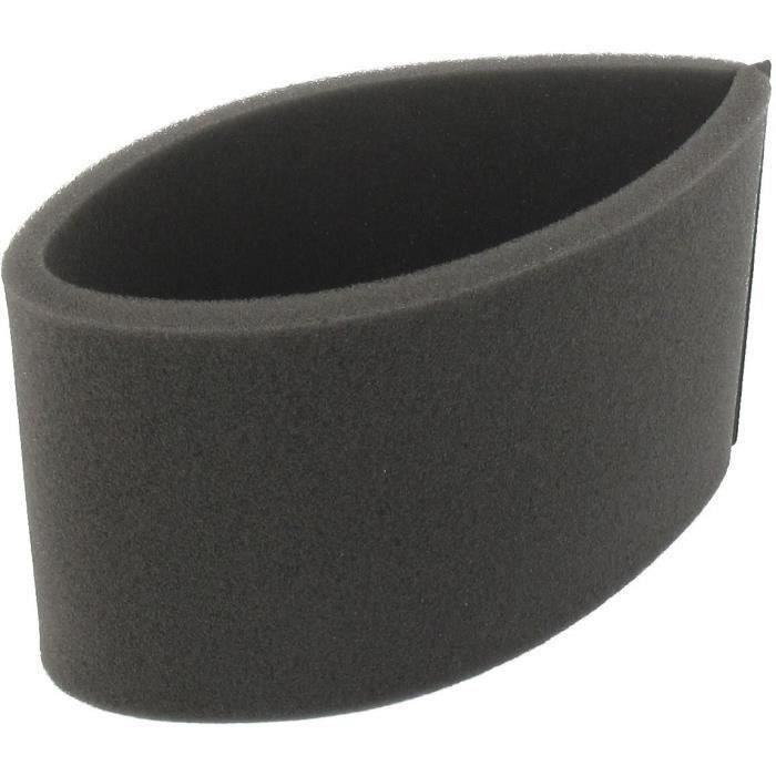 Pré-filtre BRIGGS et STRATTON 273356 - 273356S