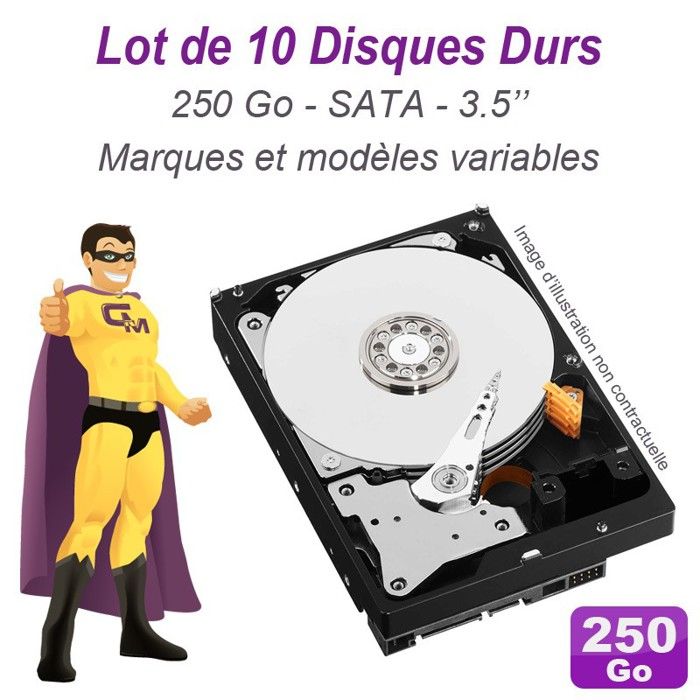 Lot de 10 Disques durs 3.5 250Go SATA Western Digital Hitachi Samsung Seagate