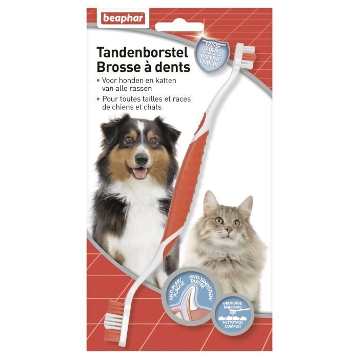 Beaphar Brosse A Dents Pour Chien Et Chat Cdiscount Animalerie Beaphar Brosse A Dents Pour Chien Et Chat Cdiscount Animalerie