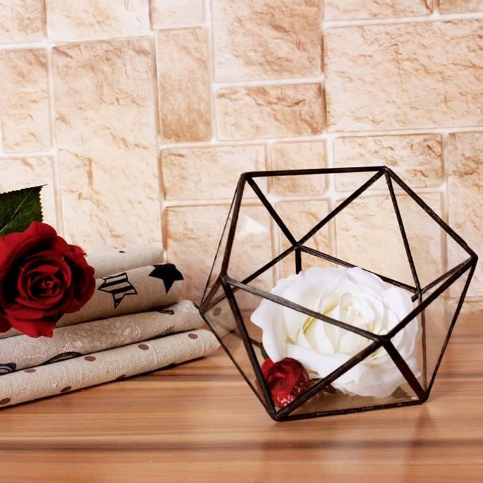 OGANAZI - Mini Pot De Terrarium En Verre Pour Plantes Succulentes - Dôme Transparent Avec Trou D'aération 3 Mm - 10