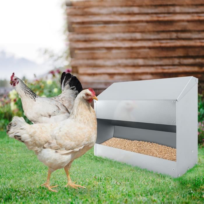 Meilleurs prix pour Mangeoire Automatique à Poulets - LILIIN - 15 kg - Grande Mangeoire à Volaille Suspendue - Acier Inoxydable