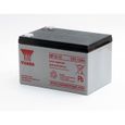 Batterie plomb AGM NP12-12 12V 12Ah YUASA - Batterie(s)-1