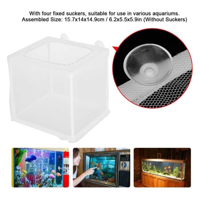 Boîte d'élevage de poissons d'aquarium portable, incubateur