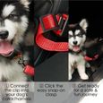 ceinture de sécurité pour chien-3