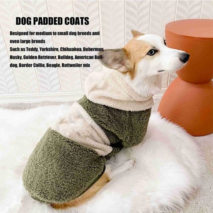 Manteau pour chiwawa cheap