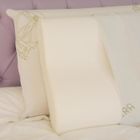 BALDIFLEX Lot de 2 Oreillers Ergonomique Cervical à Mémoire de Forme 40x70 cm Déhoussable -Aloe Vera