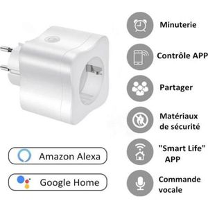 PRISE TÈLÈCOMMANDÈE CA04434-Prise intelligente WiFi TECHSTICK Prise Connectée télécommande Android iOS compatible avec Amazon Alexa  Google Home