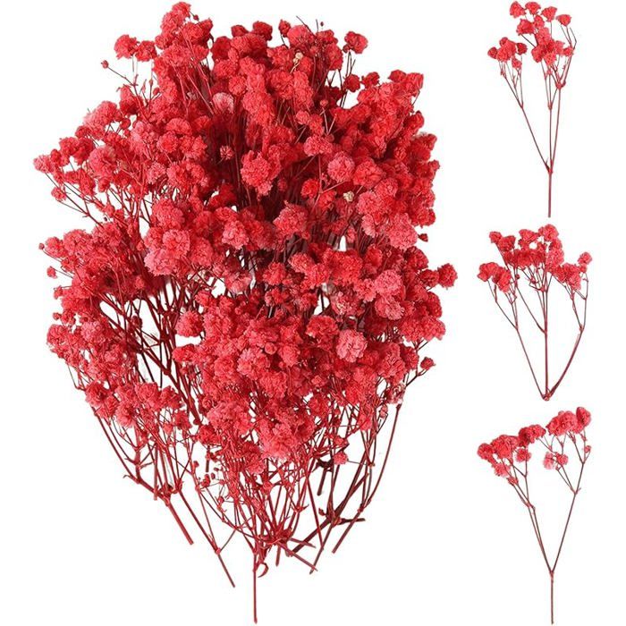 100 Pièces Fleurs Séchées Vraies Fleurs Sechees Naturelles Résistant à la Décoloration Mini Gypsophile FLEUR-PLANTE ARTIFICIELLE