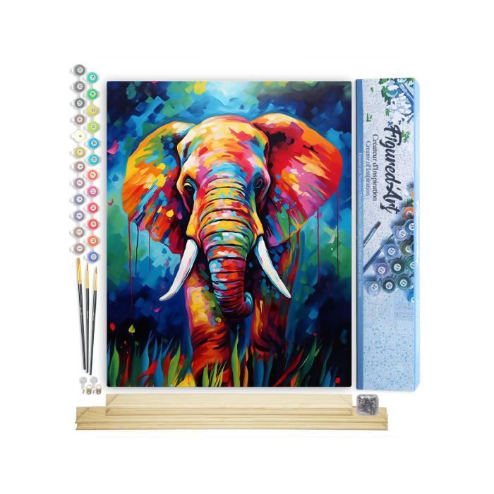 Peinture Par Numéros Adulte Grand Format 40x70cm - Design Abstrait Coloré - Kit Complet Sans Cadre